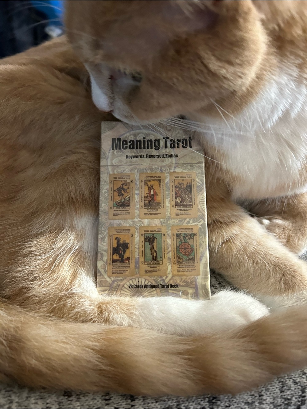 Meaning Tarot Deck Online Guidebook 78 Rider-Waite Deck New Uncharged Beginner
